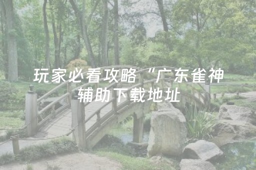 玩家必看攻略“广东雀神辅助下载地址（专用辅牌神器免安装）