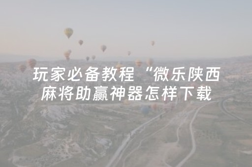 玩家必备教程“微乐陕西麻将助赢神器怎样下载（专用辅牌神器免安装）