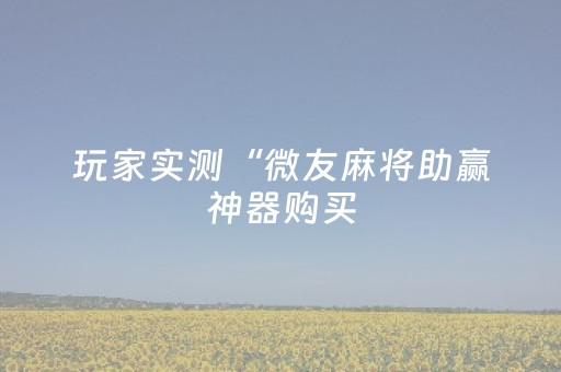 玩家实测“微友麻将助赢神器购买（专用辅牌神器免安装）
