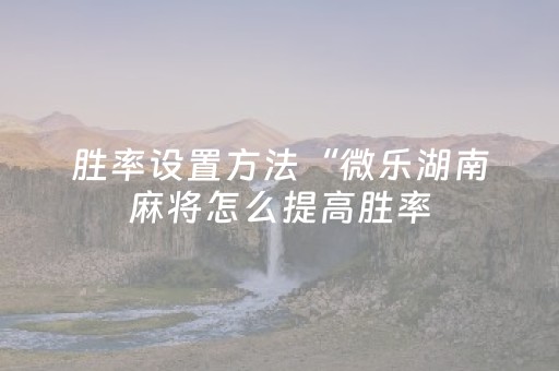 胜率设置方法“微乐湖南麻将怎么提高胜率（助赢神器通用版）