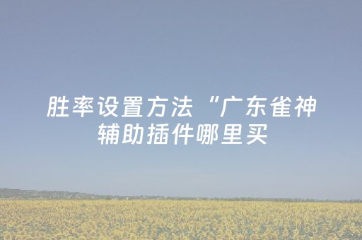 胜率设置方法“广东雀神辅助插件哪里买（专用辅牌神器免安装）