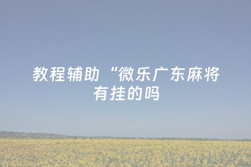 教程辅助“微乐广东麻将有挂的吗（助赢神器通用版）