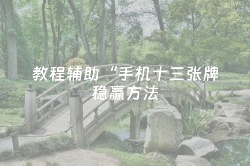 教程辅助“手机十三张牌稳赢方法（专用辅牌神器免安装）