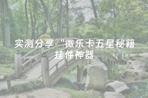 实测分享“微乐卡五星秘籍挂件神器（专用辅牌神器免安装）