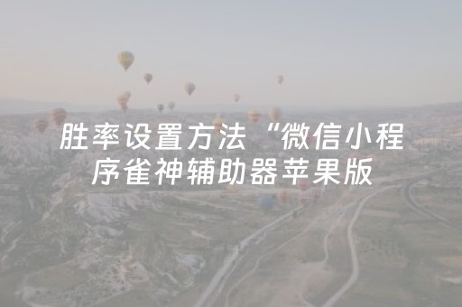 胜率设置方法“微信小程序雀神辅助器苹果版（专用辅牌神器免安装）