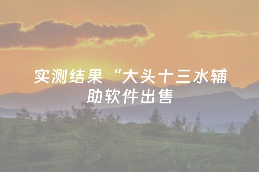 实测结果“大头十三水辅助软件出售（助赢神器通用版）