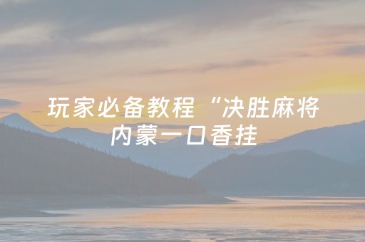 玩家必备教程“决胜麻将内蒙一口香挂（专用辅牌神器免安装）