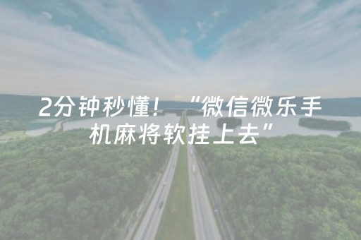 2分钟秒懂！“微信微乐手机麻将软挂上去”（详细开挂教程）-哔哩哔哩