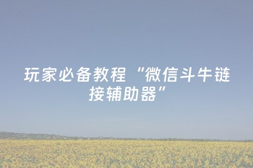 玩家必备教程“微信斗牛链接辅助器”（详细透视教程）-哔哩哔哩