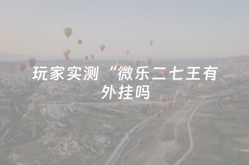 玩家实测“微乐二七王有外挂吗（专用辅牌神器免安装）