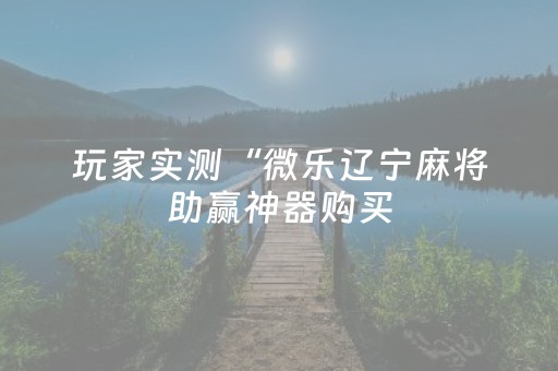 玩家实测“微乐辽宁麻将助赢神器购买（助赢神器通用版）