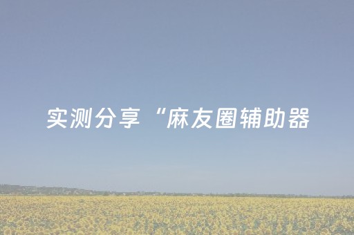实测分享“麻友圈辅助器（专用辅牌神器免安装）