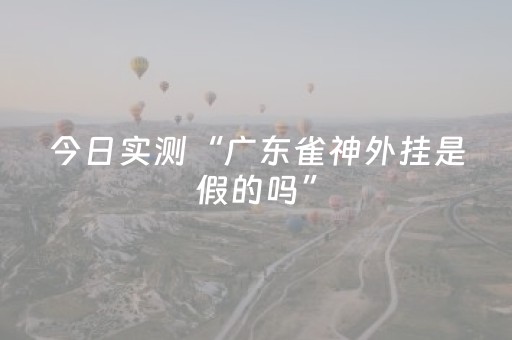 今日实测“广东雀神外挂是假的吗”（详细辅助教程）-哔哩哔哩