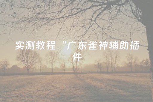 实测教程“广东雀神辅助插件（助赢神器通用版）