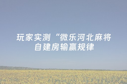 玩家实测“微乐河北麻将自建房输赢规律（助赢神器通用版）