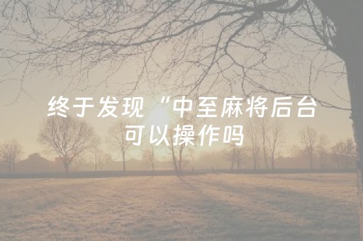 终于发现“中至麻将后台可以操作吗（专用辅牌神器免安装）