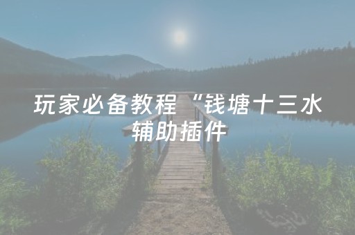 玩家必备教程“钱塘十三水辅助插件（助赢神器通用版）