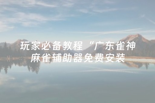 玩家必备教程“广东雀神麻雀辅助器免费安装（专用辅牌神器免安装）