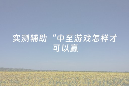 实测辅助“中至游戏怎样才可以赢（专用辅牌神器免安装）