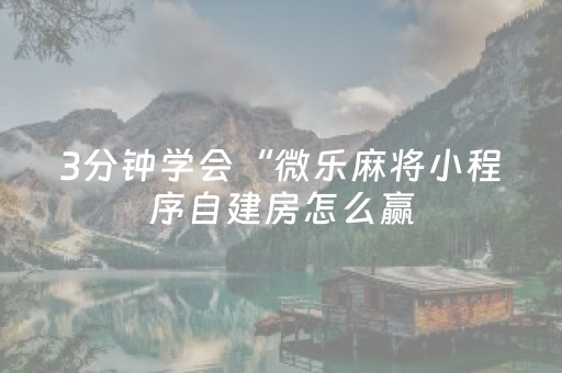 3分钟学会“微乐麻将小程序自建房怎么赢（助赢神器通用版）