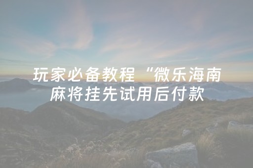 玩家必备教程“微乐海南麻将挂先试用后付款（助赢神器通用版）