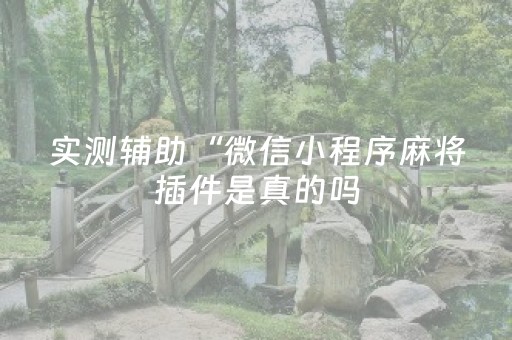 实测辅助“微信小程序麻将插件是真的吗（专用辅牌神器免安装）