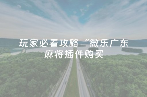 玩家必看攻略“微乐广东麻将插件购买（专用辅牌神器免安装）