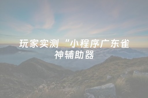 玩家实测“小程序广东雀神辅助器（助赢神器通用版）