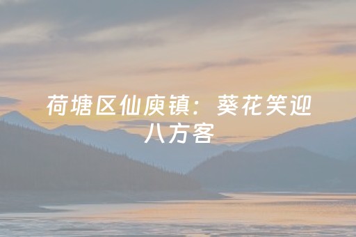 分享辅助“玩家抢红包最佳手气软件”（详细透视教程）-哔哩哔哩