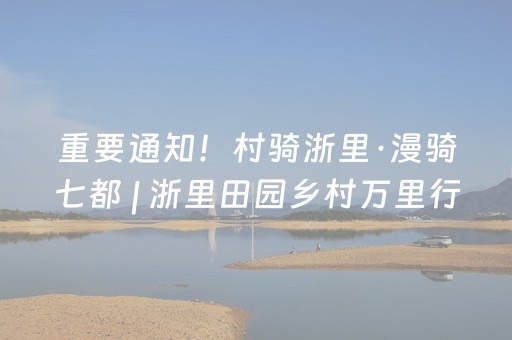 实测辅助“普通自动麻将机可以手机调输赢吗（专用辅牌神器免安装）