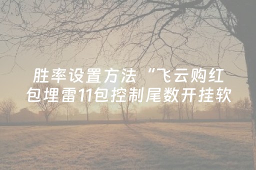 胜率设置方法“飞云购红包埋雷11包控制尾数开挂软件”（详细透视教程）-哔哩哔哩