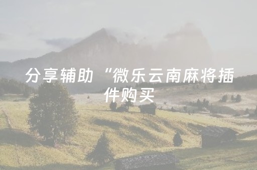 分享辅助“微乐云南麻将插件购买（专用辅牌神器免安装）