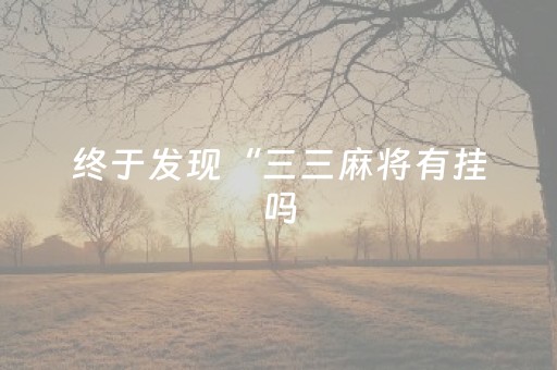 终于发现“三三麻将有挂吗（助赢神器通用版）