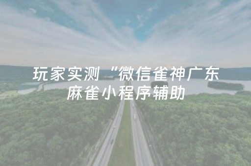 玩家实测“微信雀神广东麻雀小程序辅助（专用辅牌神器免安装）