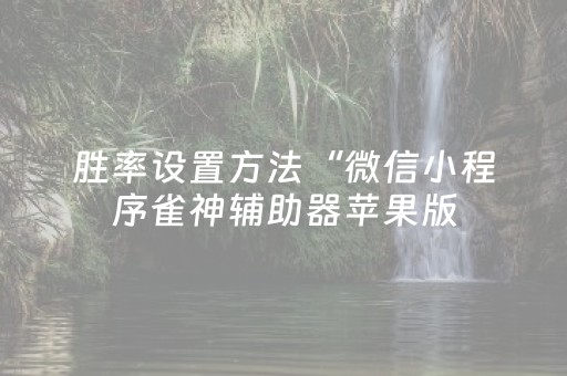 胜率设置方法“微信小程序雀神辅助器苹果版（助赢神器通用版）