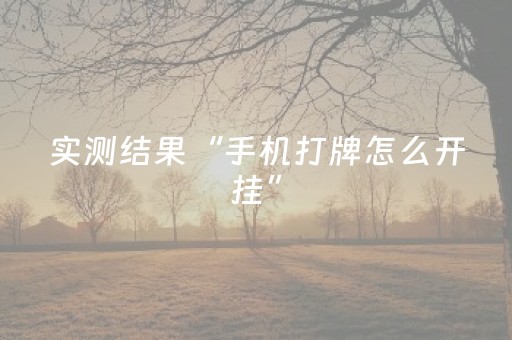 终于发现“普通麻将机胡牌神器（专用辅牌神器免安装）