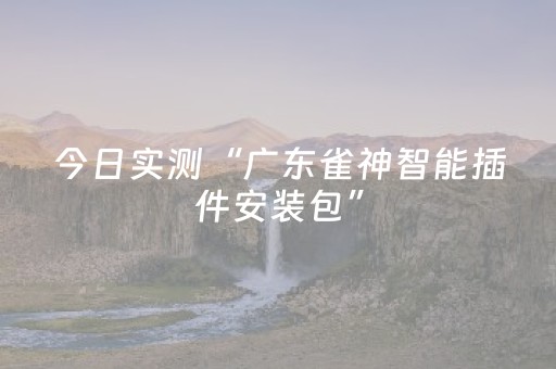 今日实测“广东雀神智能插件安装包”（详细辅助教程）-哔哩哔哩