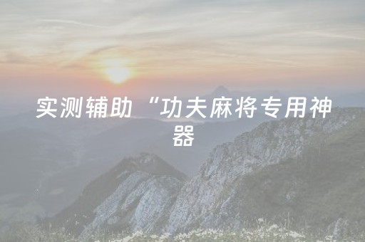 实测辅助“功夫麻将专用神器（助赢神器通用版）