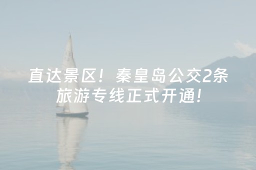 终于发现“微乐跑得快怎么调胜率（专用辅牌神器免安装）