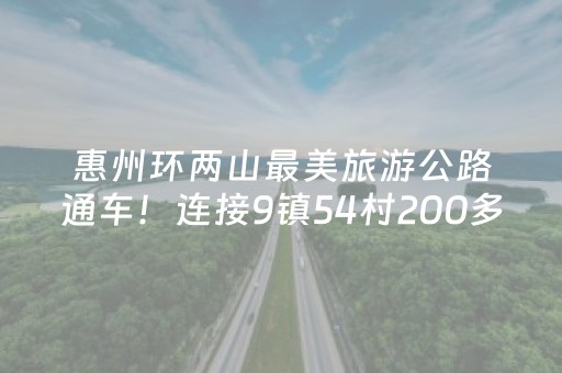 分享辅助“微信小程序雀神辅助器（专用辅牌神器免安装）