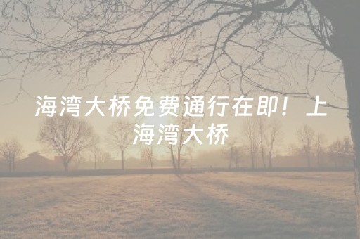 实测教程“微乐内蒙麻将助赢神器（专用辅牌神器免安装）