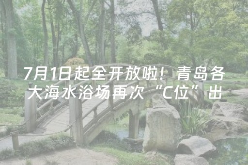 终于发现“打哈儿麻将铺牌器购买”（详细透视教程）-哔哩哔哩