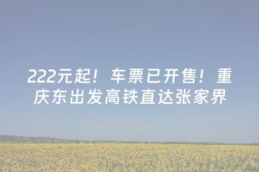 教程辅助“雀神麻将辅牌器（助赢神器通用版）