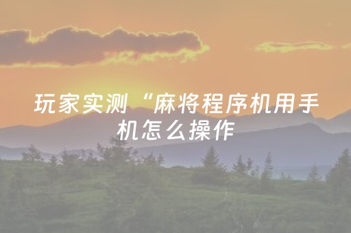 玩家实测“麻将程序机用手机怎么操作（专用辅牌神器免安装）