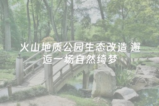 火山地质公园生态改造 邂逅一场自然绮梦