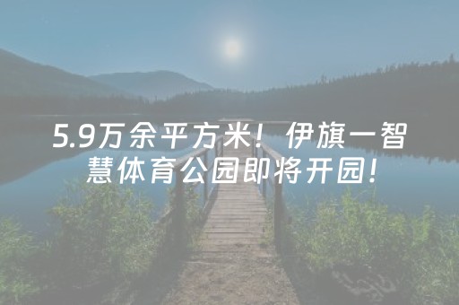 玩家必看教程！“广东雀神智能插件安装包”（详细透视教程）-哔哩哔哩