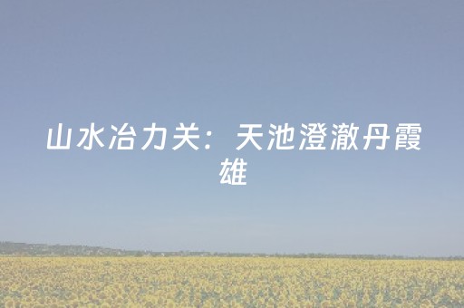 玩家必备攻略“雀神麻将助赢神器购买”（会员会提高胜率吗)