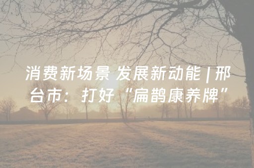 分享辅助“微乐贵阳捉鸡麻将挂先试用后付款（专用辅牌神器免安装）