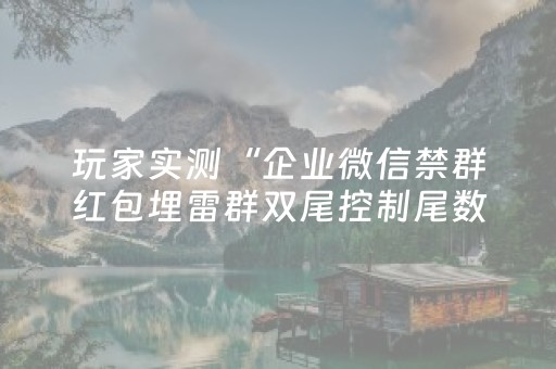 玩家实测“企业微信禁群红包埋雷群双尾控制尾数辅助软件”（详细透视教程）-哔哩哔哩