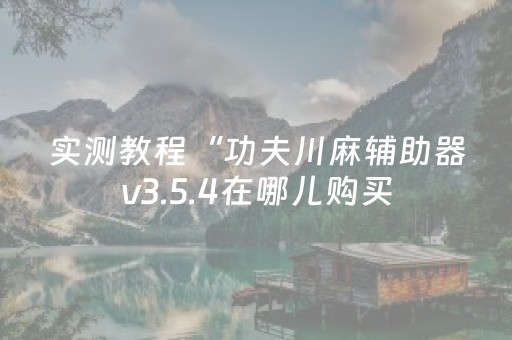 实测教程“功夫川麻辅助器v3.5.4在哪儿购买（助赢神器通用版）